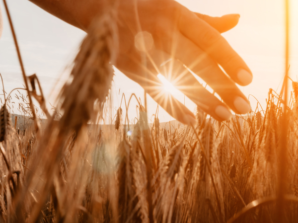 multiflour pics Tribe CRM