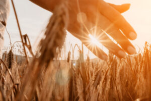 multiflour chooses Tribe CRM